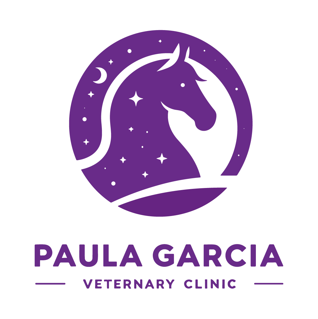 PAULA GARCIA VETERINARIA EQUINA